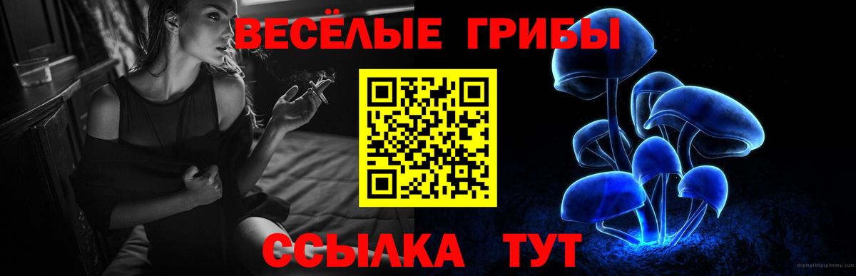 Галлюциногенные грибы MAGIC MUSHROOMS Урай